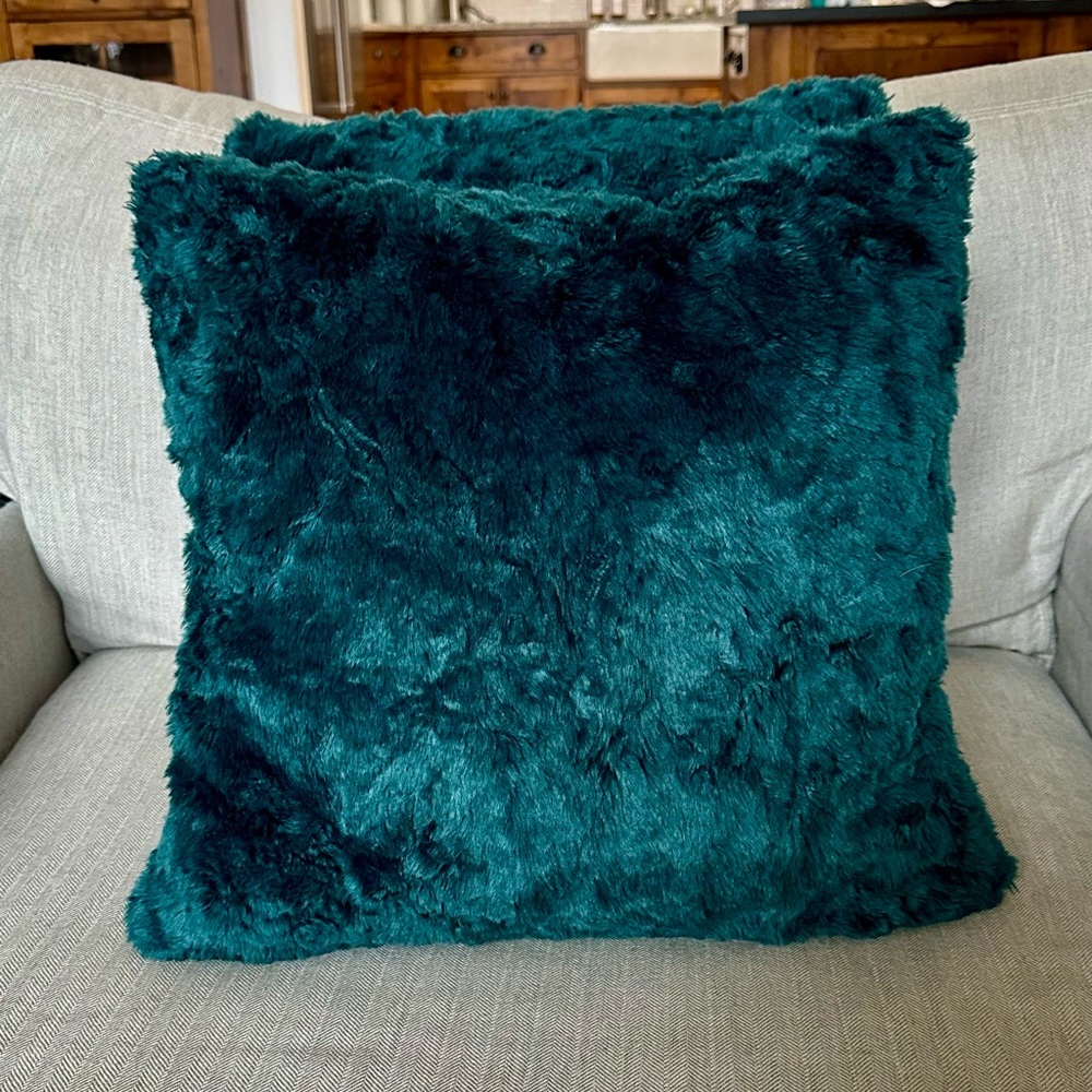 Faux Fur Pillows from West Elm - pair of 2